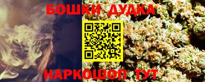 стаф Моздок