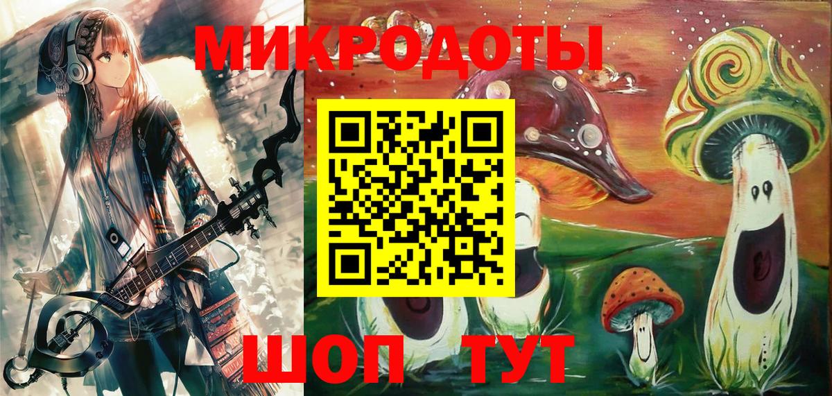 Псилоцибиновые грибы мицелий Дмитров