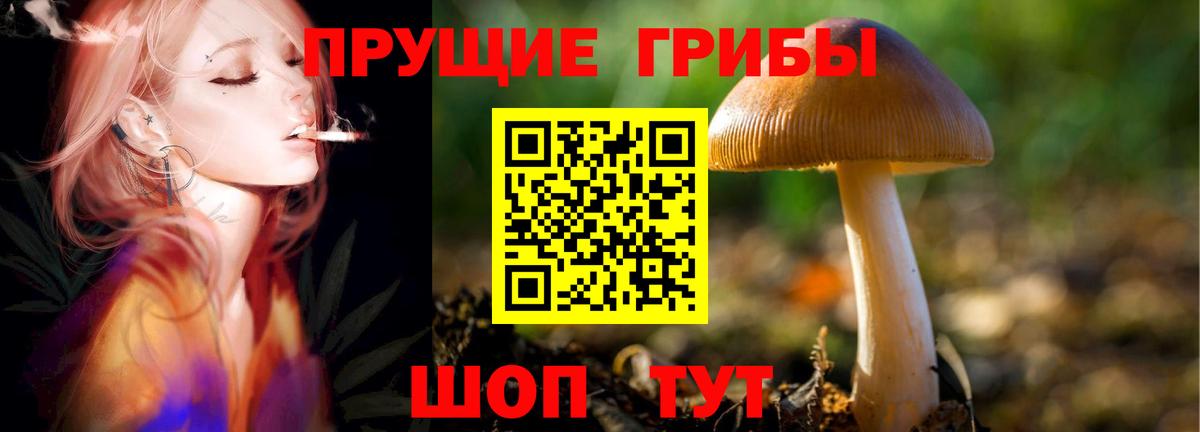 Дмитров  Псилоцибиновые грибы Magic Shrooms  купить закладку  Вход с VPN  Галлюциногенные грибы прущие грибы 